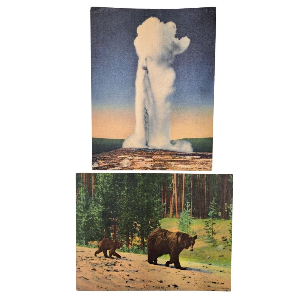 Vintage Yellowstone National Park Giant Postcards Bears Old Faithful Set Of 2